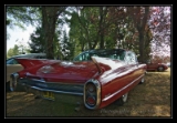 Cadillac - 7